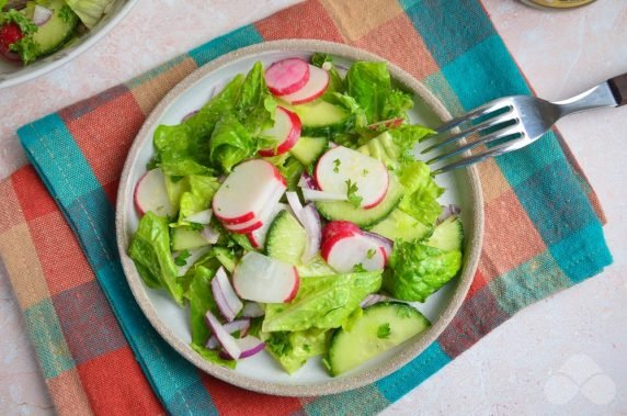 Quick salad with radishes and cucumbers: photo of recipe preparation, step 3