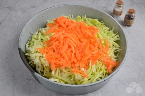 Sauerkraut per day: photo of recipe preparation, step 2