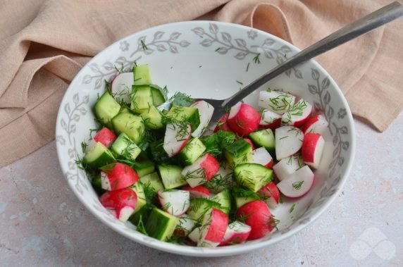 Vitamin salad with radishes and cucumbers: photo of recipe preparation, step 2