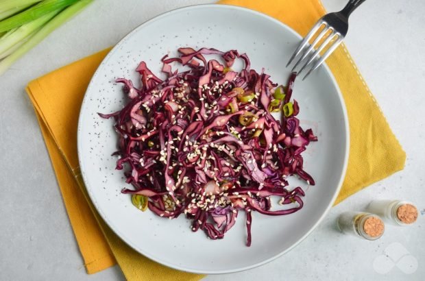 Red cabbage salad with onions – a simple and delicious recipe with photos (step by step)