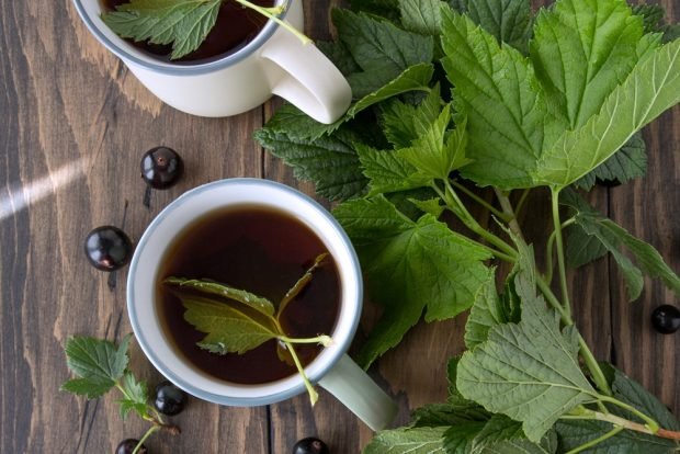 Tea with currant and mint is a simple and delicious recipe, how to cook step by step