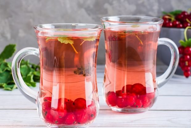 Red currant compote with mint without sugar is a simple and delicious recipe for how to cook step by step