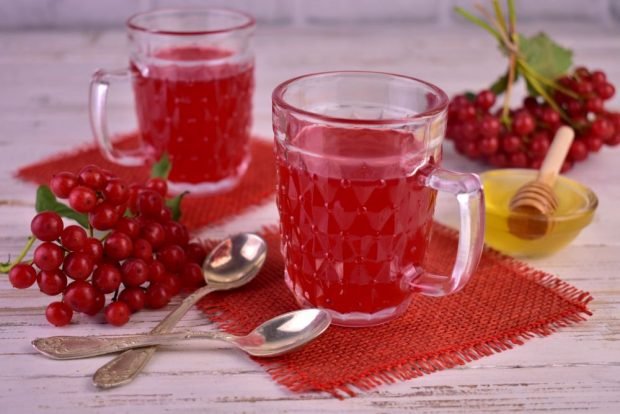 Kvass from viburnum at home is a simple and delicious recipe, how to cook step by step