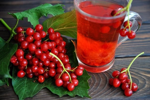 Viburnum juice at home 