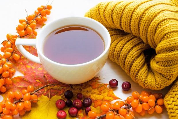 Tea with sea buckthorn and cranberries 