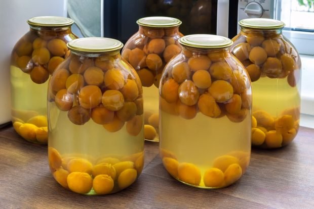 Compote of whole apricots