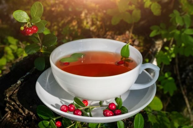 Lingonberry tea 