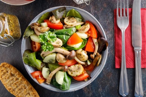 Vegetable salad with assorted mushrooms 