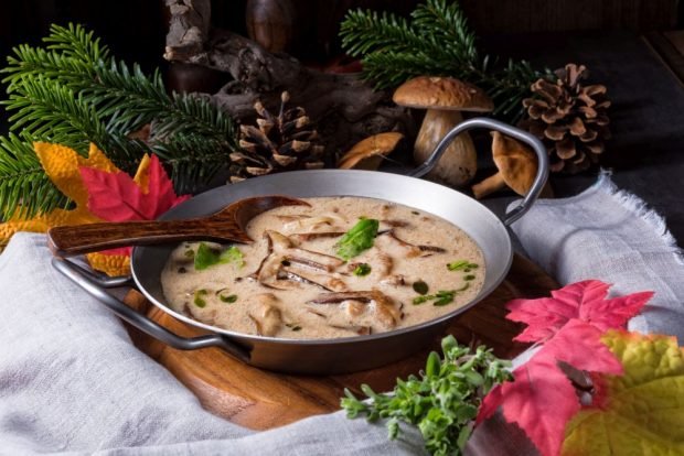 Mushroom sauce is a simple and delicious recipe, how to cook step by step