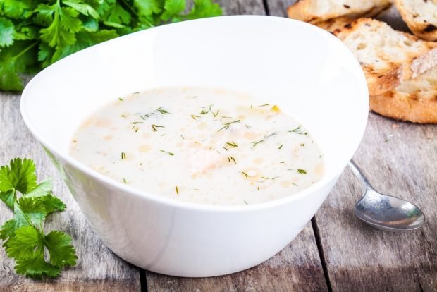 Salmon soup with milk