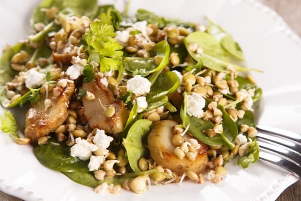 Salad with sprouted lentils, spinach and goat cheese