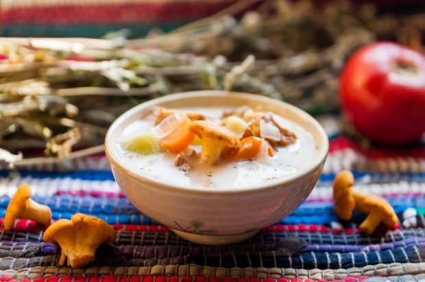 Milk soup with chanterelles and vegetables