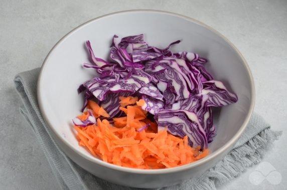 Cole Slow salad of red cabbage: photo of recipe preparation, step 1