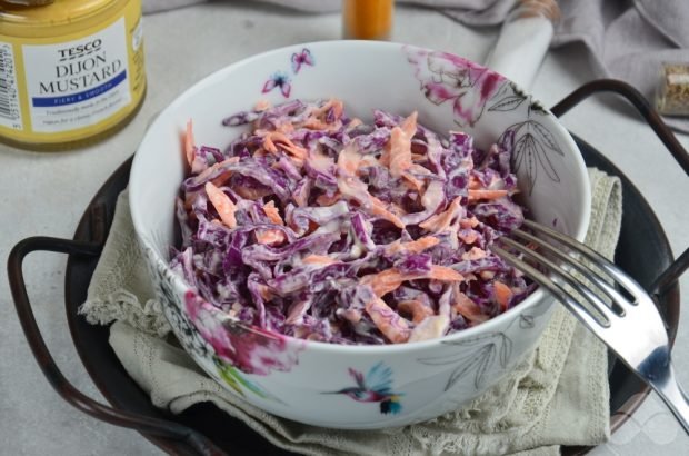 Cole Slow salad of red cabbage – a simple and delicious recipe with photos (step by step)