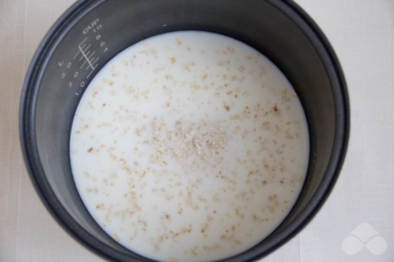 Oatmeal porridge with apple and raisins in a slow cooker: photo of recipe preparation, step 1