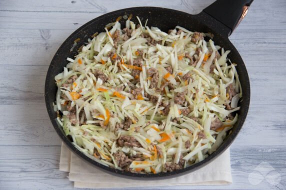 Stewed cabbage with minced meat: photo of recipe preparation, step 4