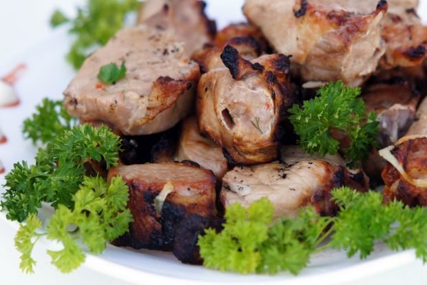 Pork kebab with kefir and onion 