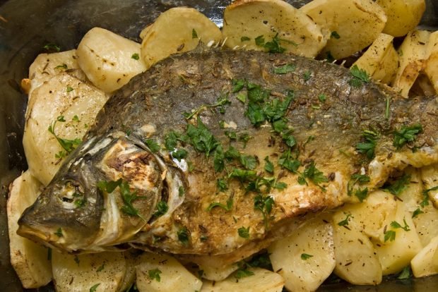 Crucian carp with potatoes in the oven