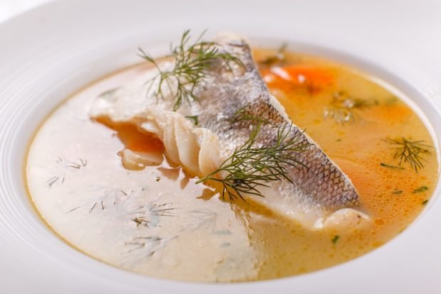 Fish broth in a slow cooker 