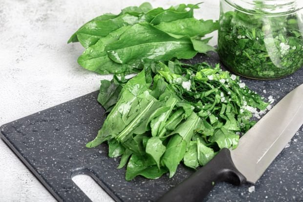 Harvesting spinach for winter 