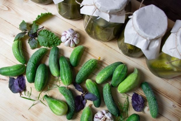 Pickled cucumbers with basil for winter