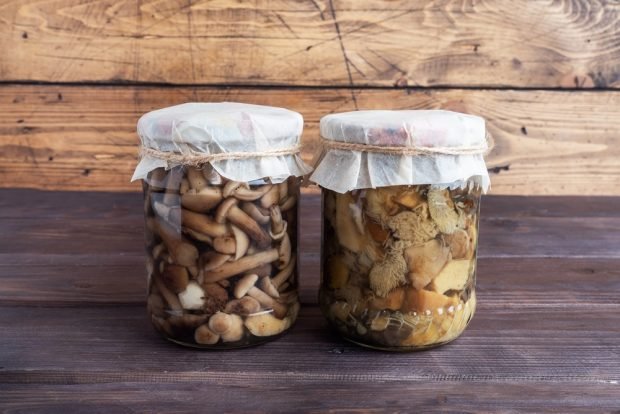 Pickled honey mushrooms for the winter in jars without sterilization