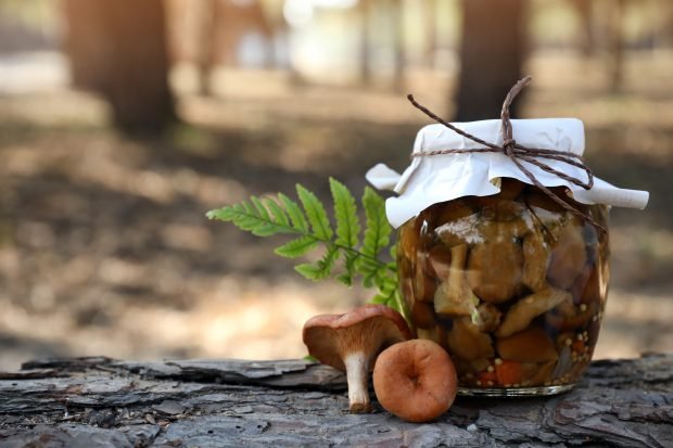 Pickled ginger mushrooms in a hot way for the winter