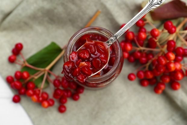 Viburnum with honey for the winter without cooking