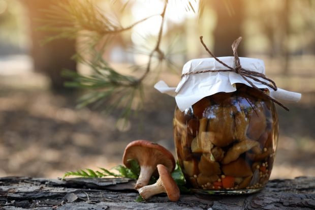 Pickled mushrooms with vinegar for winter – a simple and delicious recipe, how to cook step by step