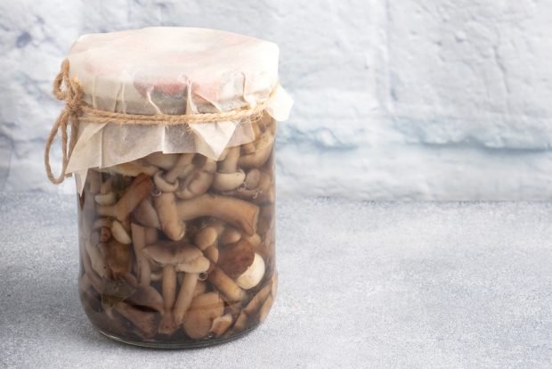 Honey mushrooms for winter