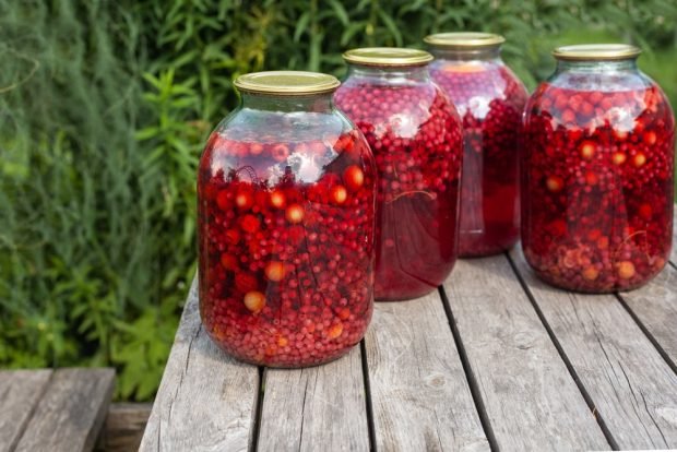 Berry compote without sugar for winter 