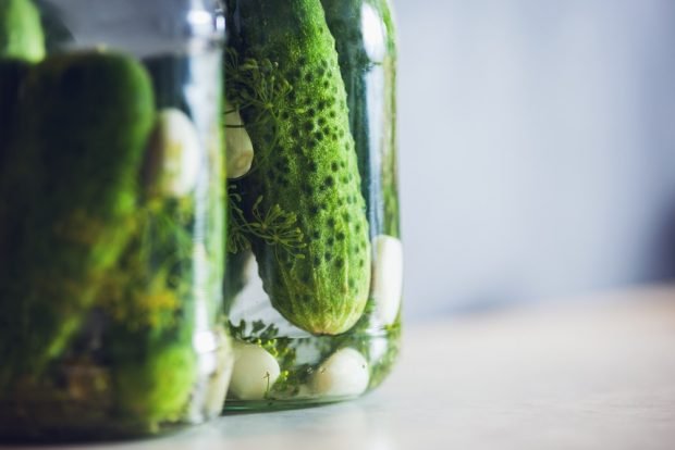 Crispy pickled cucumbers with coriander for winter