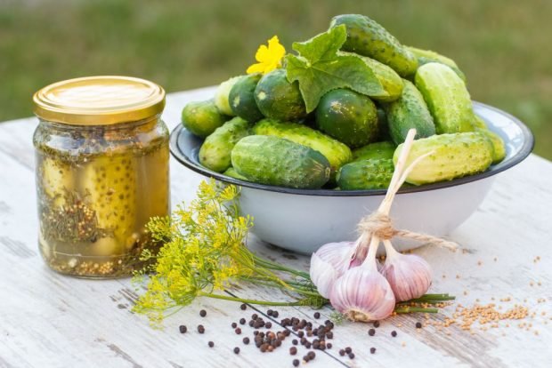 Cucumbers in mustard filling for winter