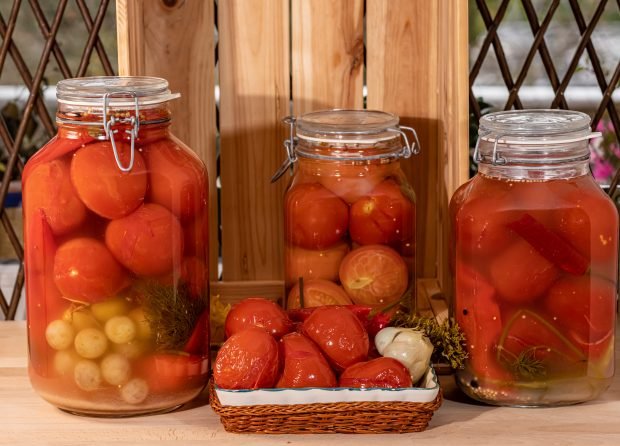 Pickled tomatoes with grapes for winter