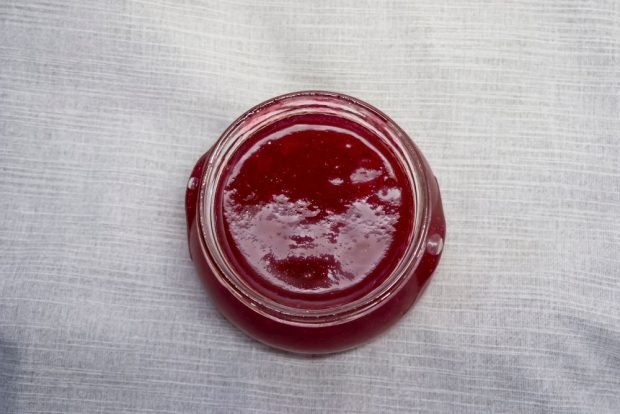 Red currant sauce for winter – a simple and delicious recipe, how to cook step by step