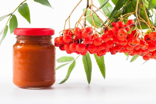 Wild mountain ash jam