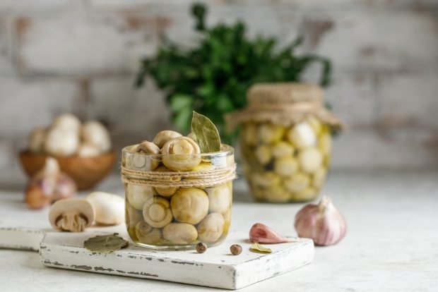 Pickled field mushrooms for winter – a simple and delicious recipe how to cook step by step