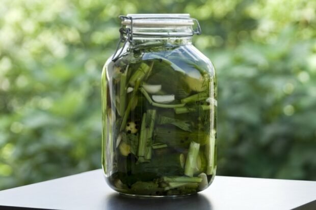 Pickled celery with cucumbers and herbs – a simple and delicious recipe, how to cook step by step