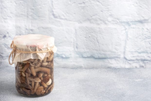 Salted honey mushrooms for winter