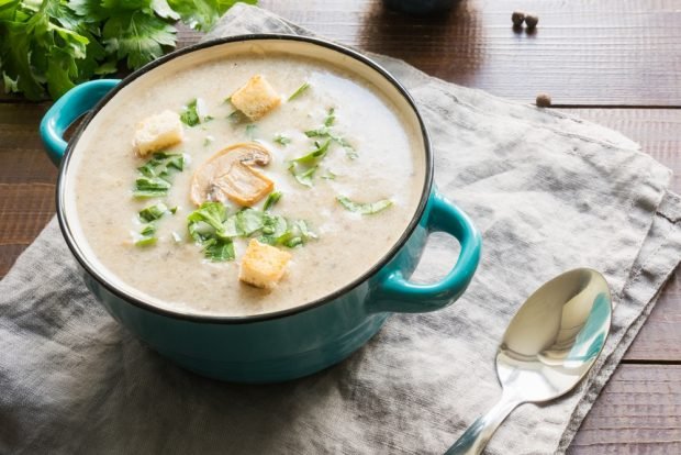 Mushroom soup puree with cilantro 