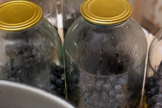 Compote of black grapes for winter 