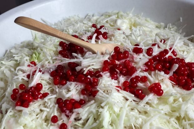 Sauerkraut with viburnum for winter