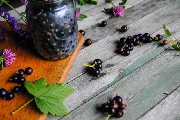 Currant in its own juice with sugar for the winter