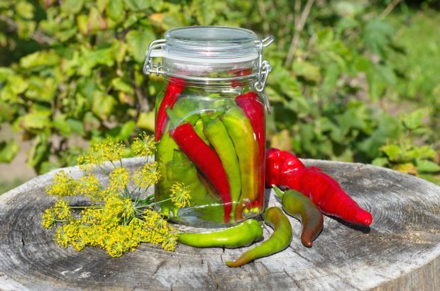 Pickled bitter pepper for winter