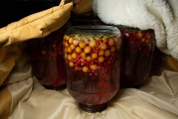 Compote of gooseberries and red currants for winter 