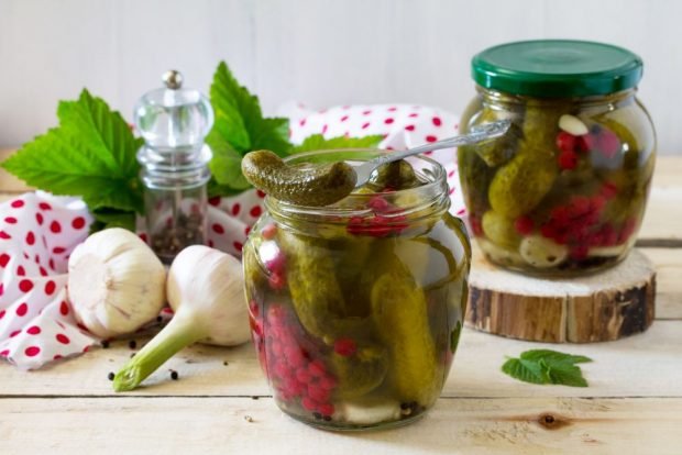 Cucumbers with red currants for winter