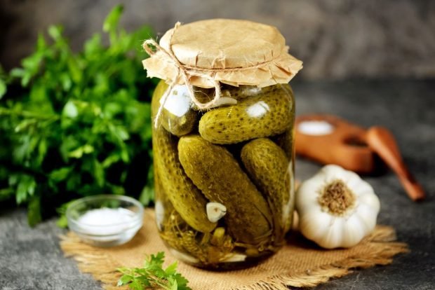 Pickled cucumbers with apple cider vinegar for winter