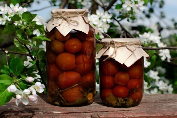 Pickled tomatoes with plums for winter