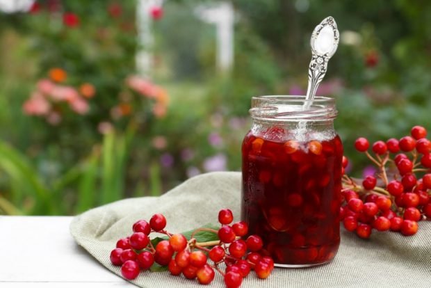 Jam from red viburnum with stones