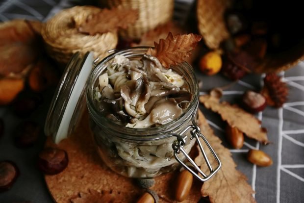 Forest oyster mushrooms for winter